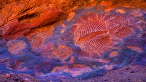 Illustration of ancient marine fossils discovered in the Grand Canyon revealing unexpected evolutionary complexities.