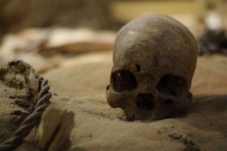 “Shocking Evolution Twist Discovered”: Neanderthal Findings Radically Challenge Everything We Know About Human History