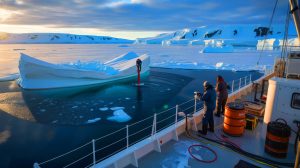 Illustration of researchers extracting sediment cores from beneath the Antarctic Peninsula to study whale impact on climate.