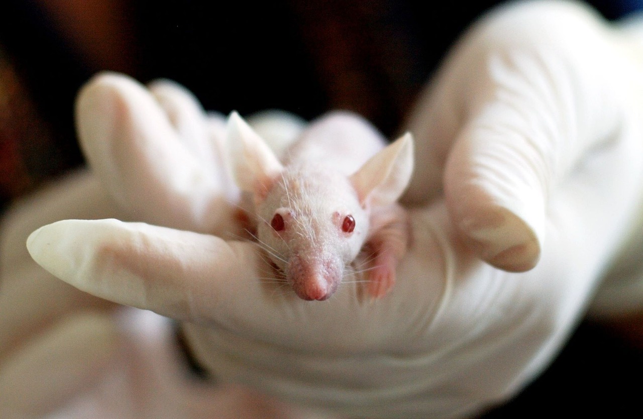 Revolutionary Gel Technology Slashes Drug Release by 20 Times, Triggering Breakthroughs in Long-Term Treatment Solutions