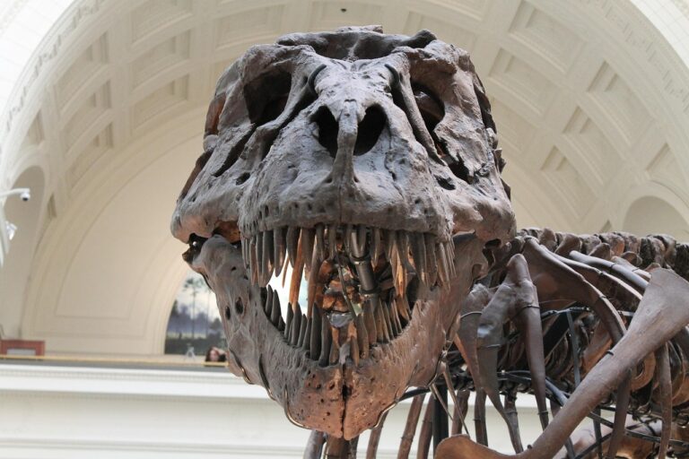 “Ancient Infection Uncovered: Terrifying Dino Bone Disease That Predates Asteroid Impact Now Haunting Modern Bones”