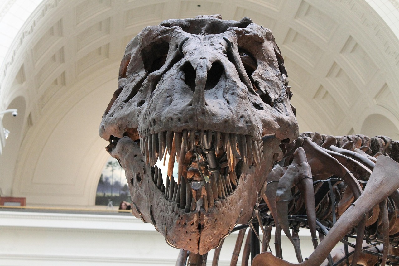 “Ancient Infection Uncovered: Terrifying Dino Bone Disease That Predates Asteroid Impact Now Haunting Modern Bones”