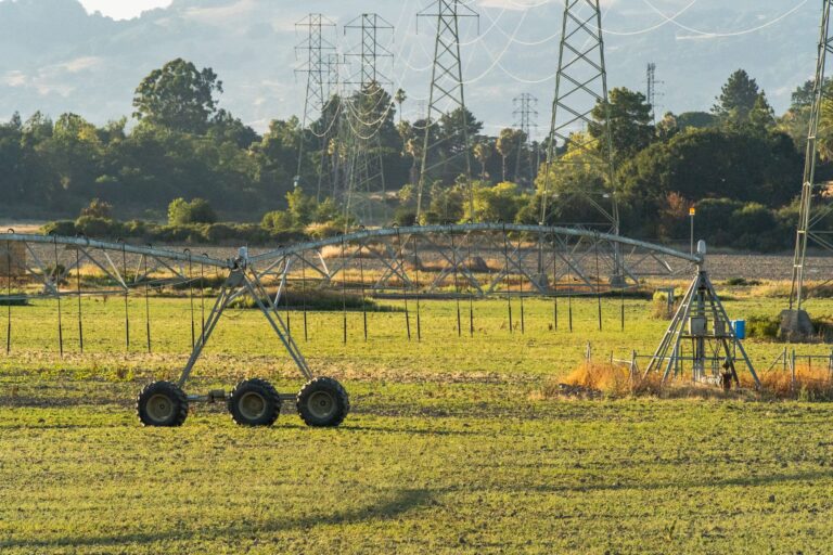 How Sensor Fusion Could Help Agricultural Robots Adapt in the Field