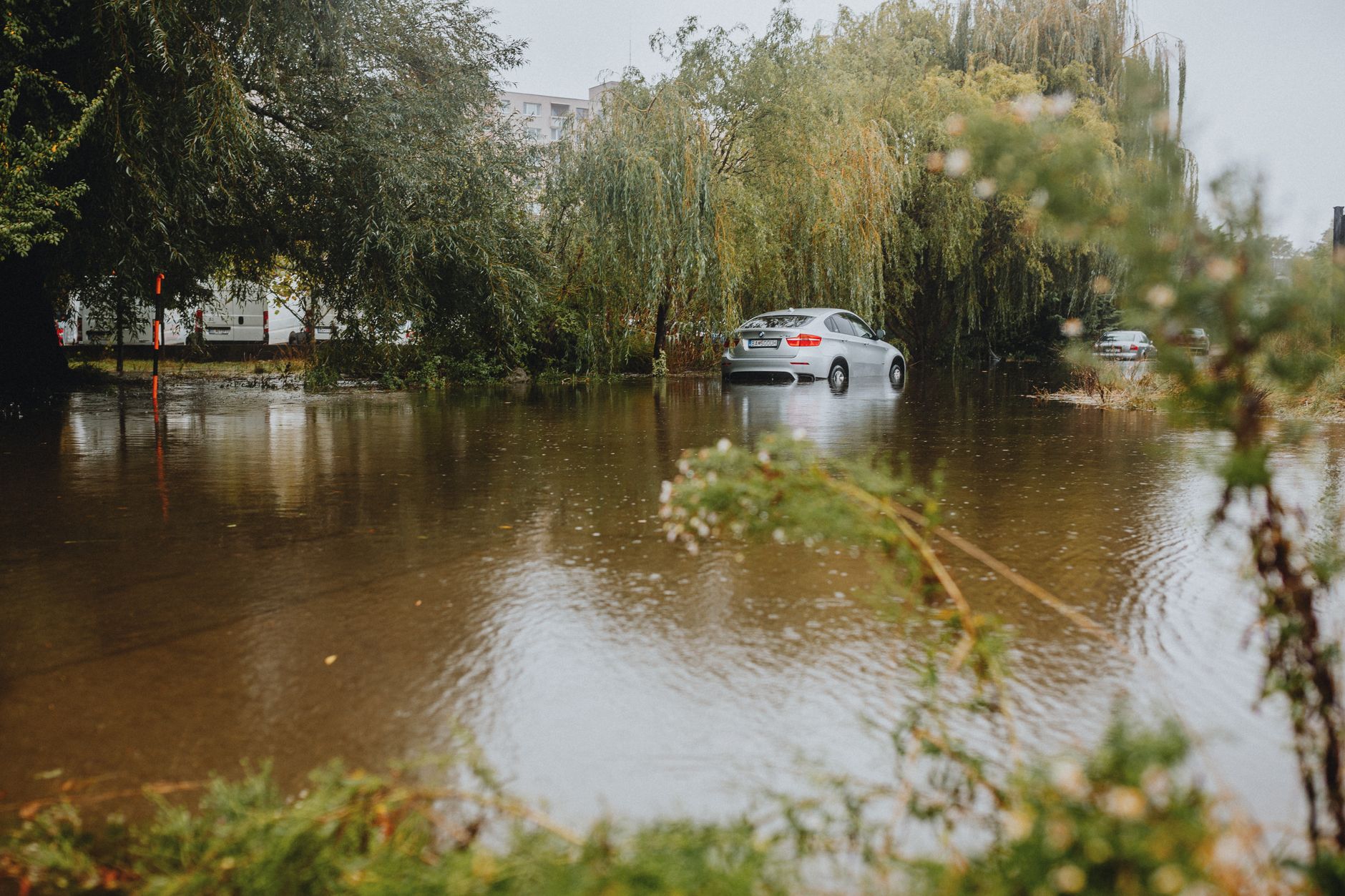 Brown floodwater covers a street, with a silver car partly submerged beside willow trees and parked vans under an overcast sky.