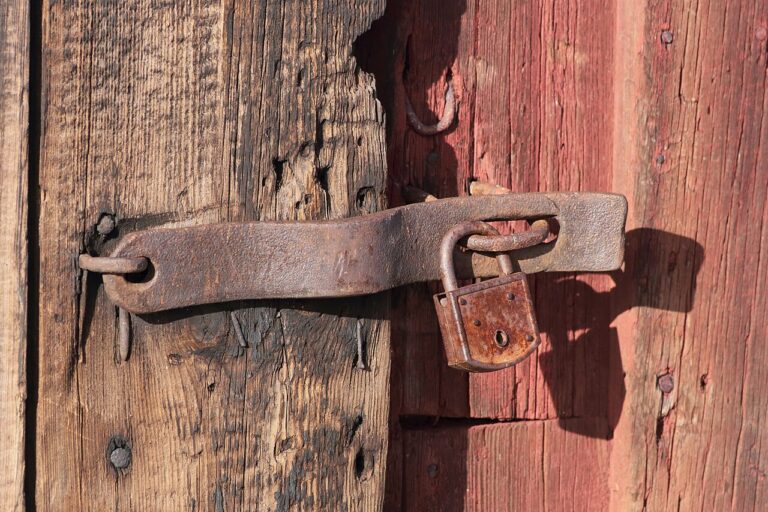 Securing Your Online Accounts With Habits That Actually Work